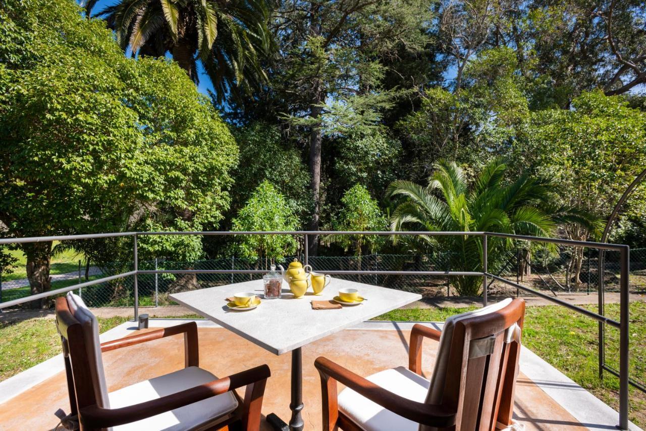 Junior Suite mit Terrasse