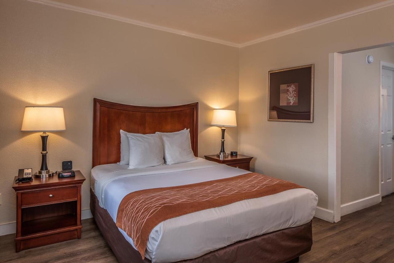 Zimmer mit Queensize-Bett