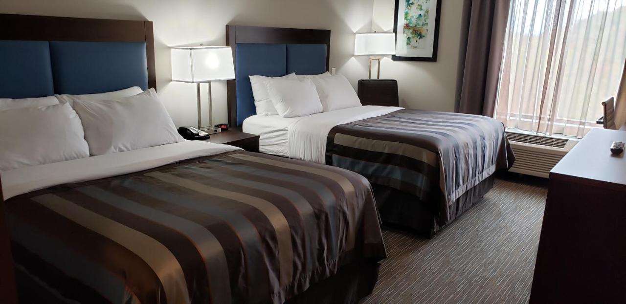 Deluxe Queen Room Two Queen Beds Bath Tub Mobility or Hearing Accessible Non-Smoking,1026526699:JPEG