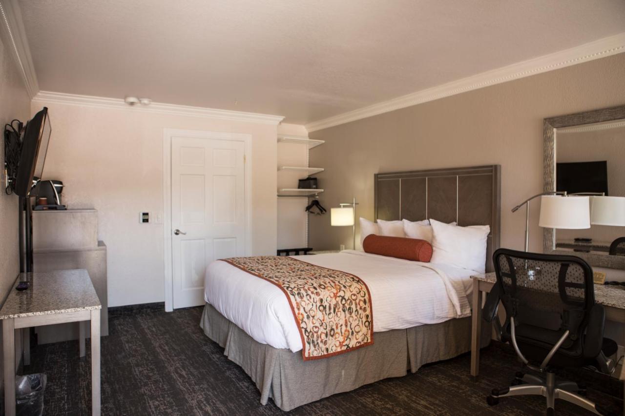 Zimmer mit 1 Queensize-Bett, barrierefrei - Nichtraucher