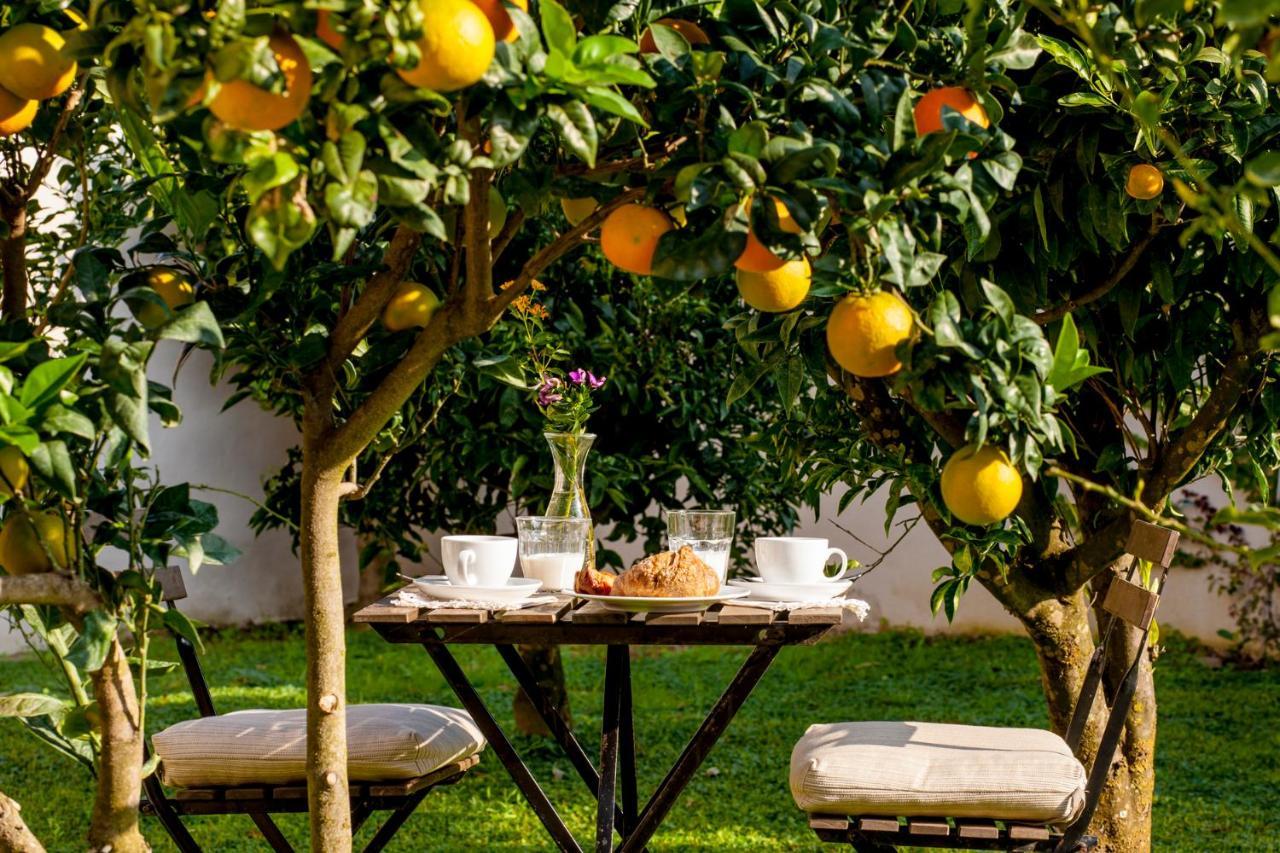 Appartamento con Vista Giardino