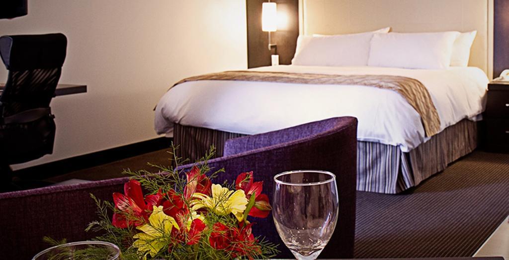 Suite Lit Queen-Size avec Kitchenette