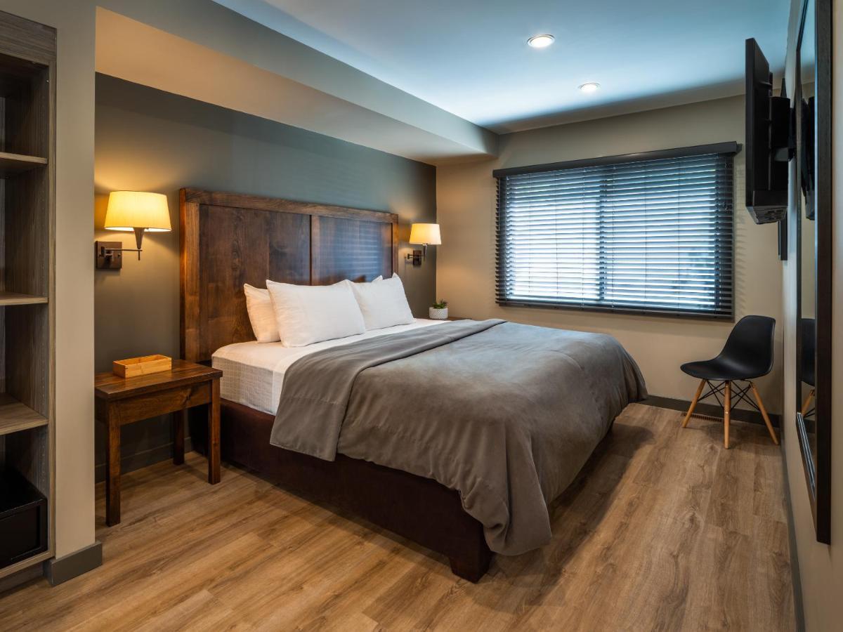 Studio Buffalo Lit King-Size