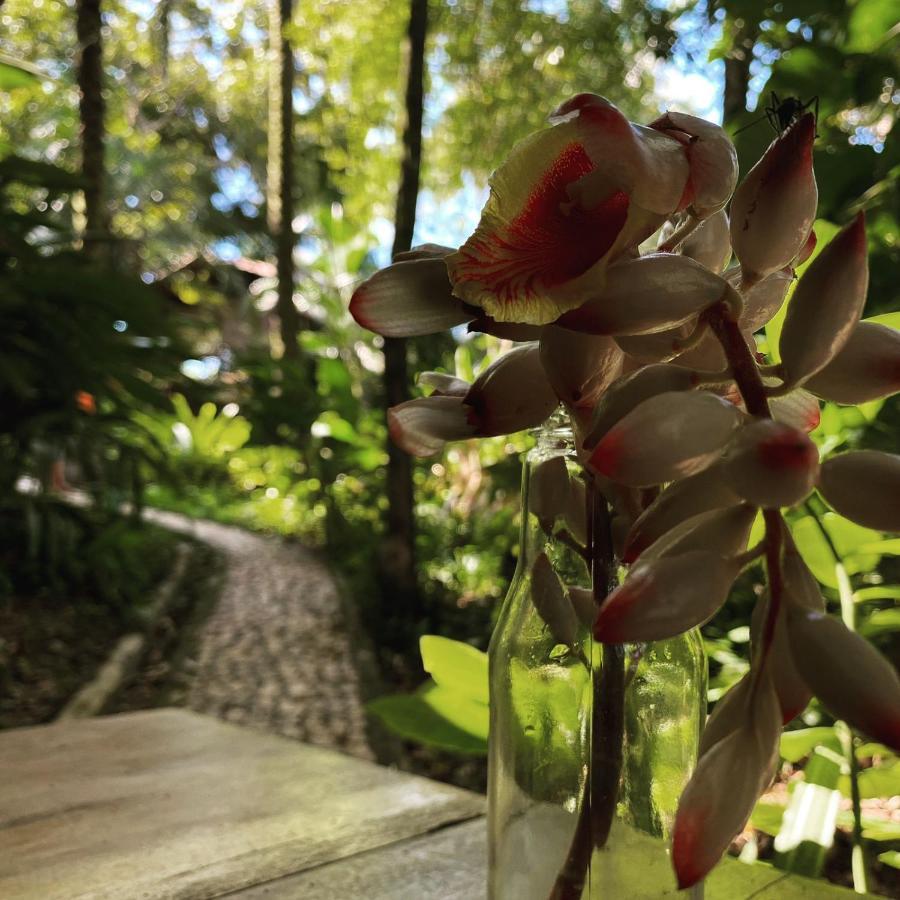 Quarto Duplo com Vista do Jardim