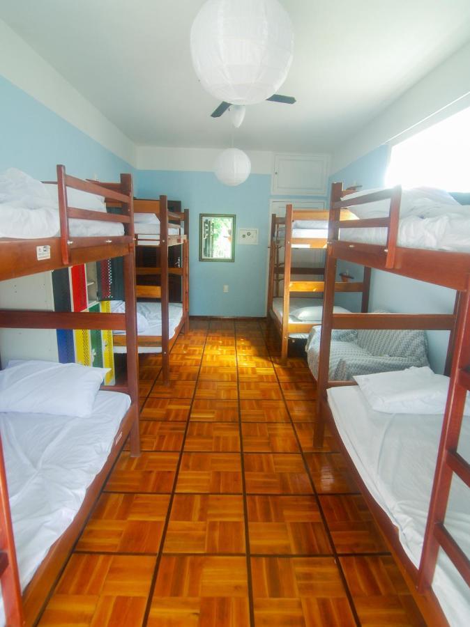 Bed in 8-Bed Mixed Dormitory Room,683998158:JPEG