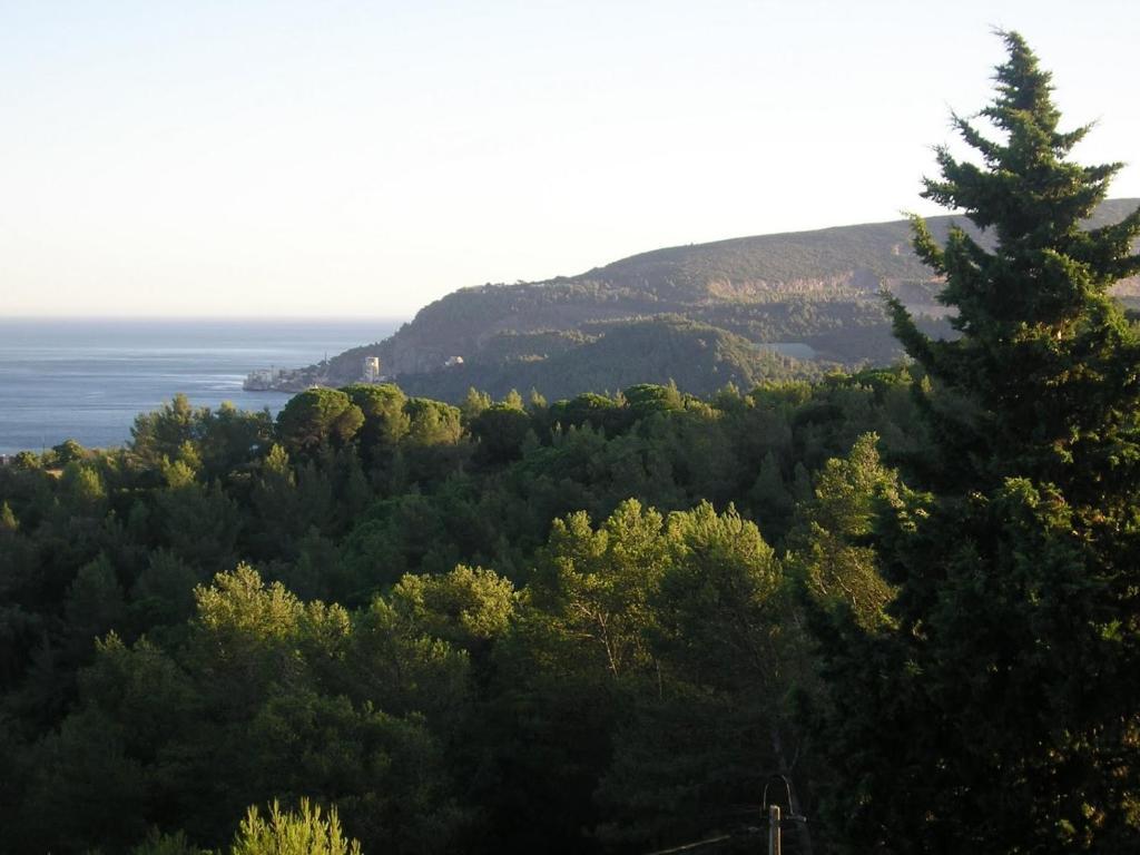 Suite Terrace Mountain & Ocean View,257957077:JPEG