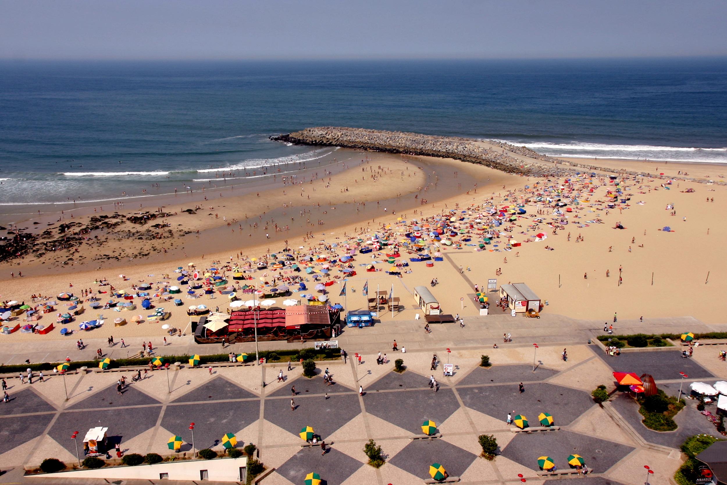 Apartamento Superior de 1 dormitorio con vistas al mar (3 adultos)