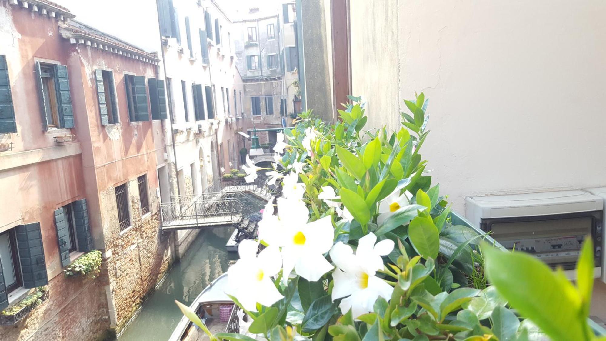 Single Room Canal View,631023861:JPEG