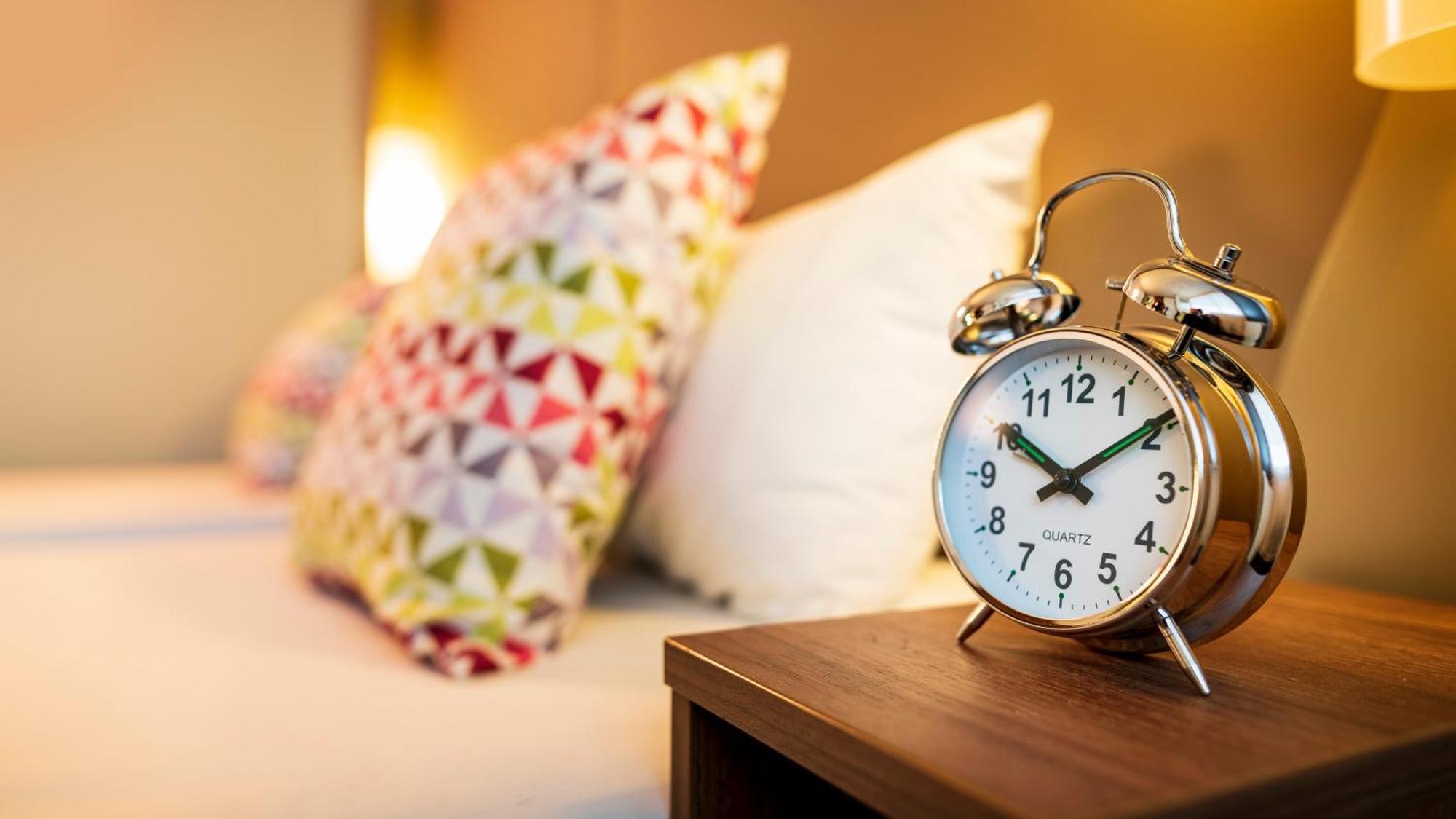 Alojamiento con 1 cama doble y 1 sofá cama