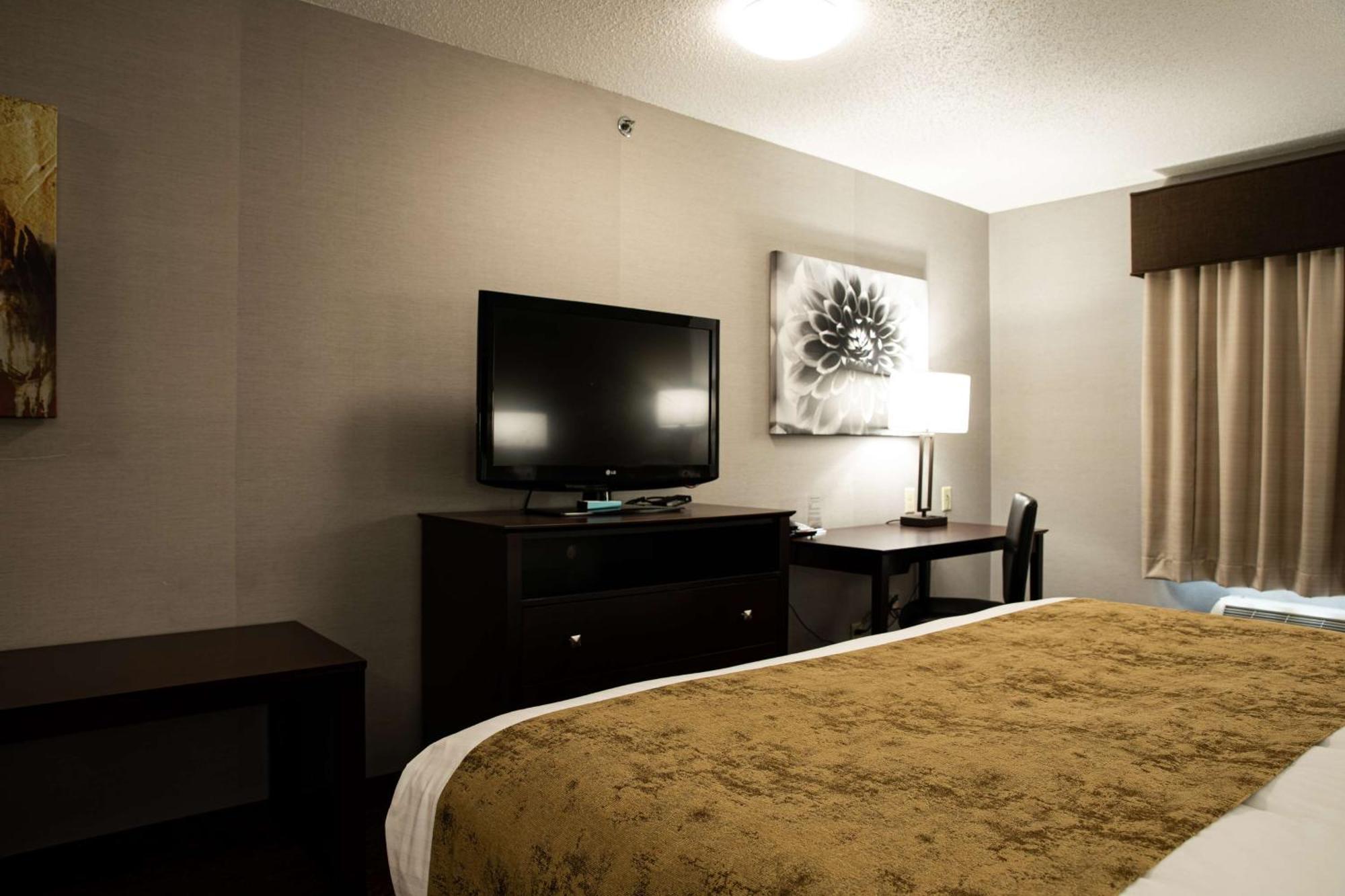 King Room - Non-Smoking