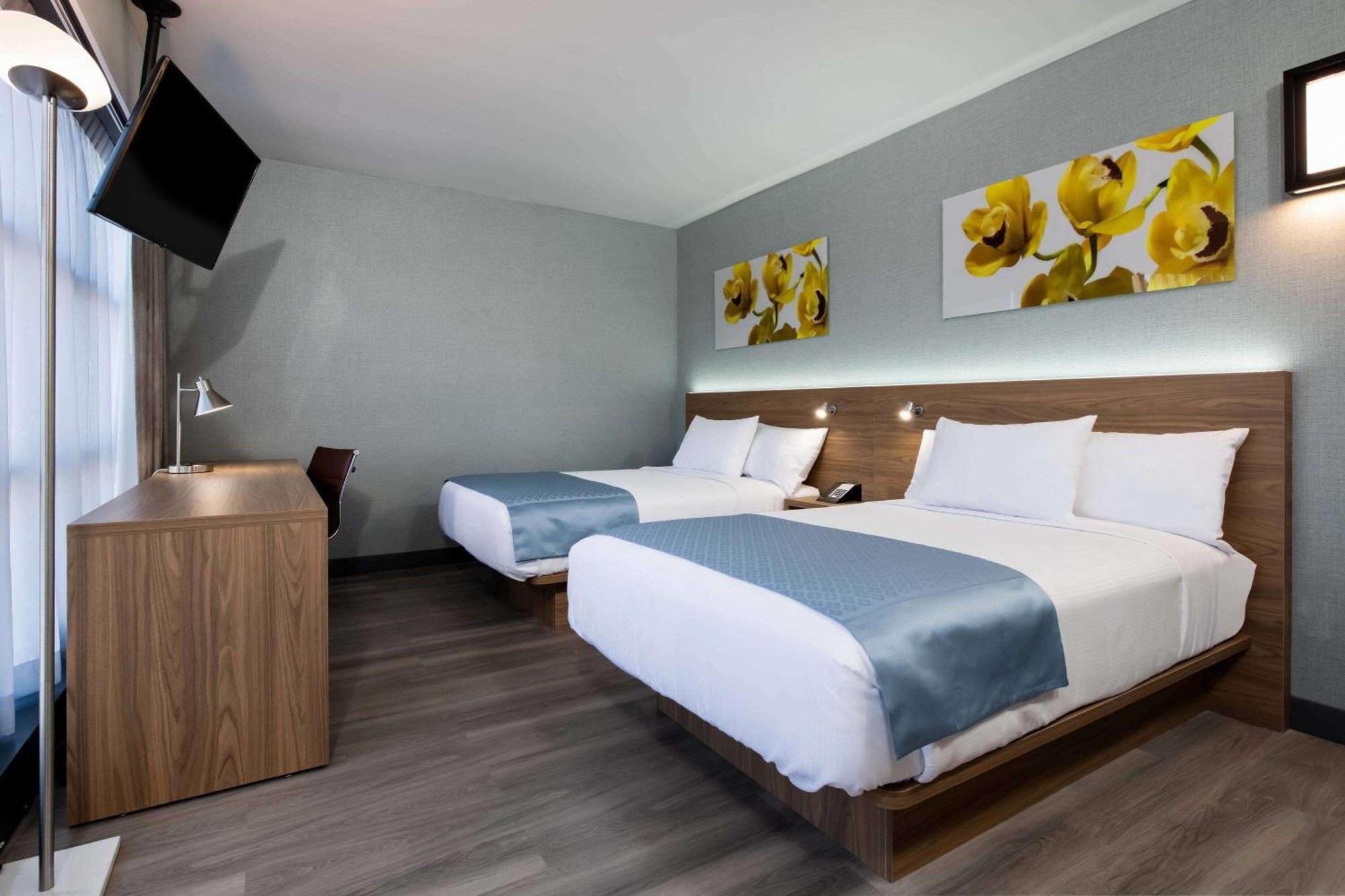 Double Room with Two Double Beds - Non-Smoking,1285115371:JPEG