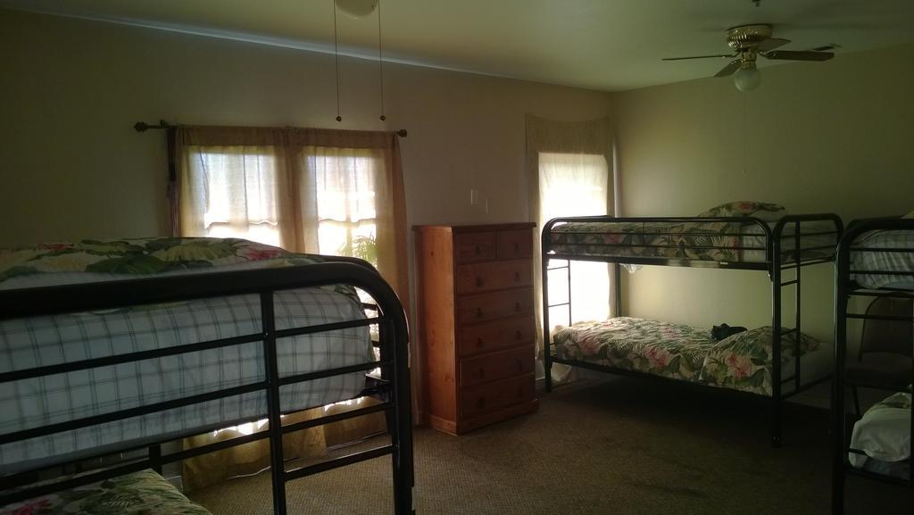 Bed 4-Bed Female Dormitory Room,169907745:JPEG