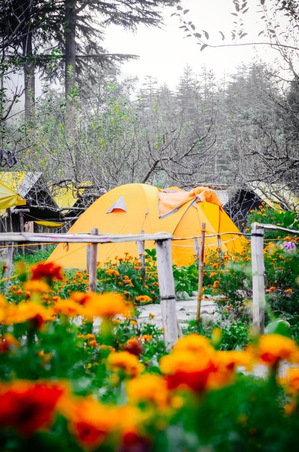 Dome Tent