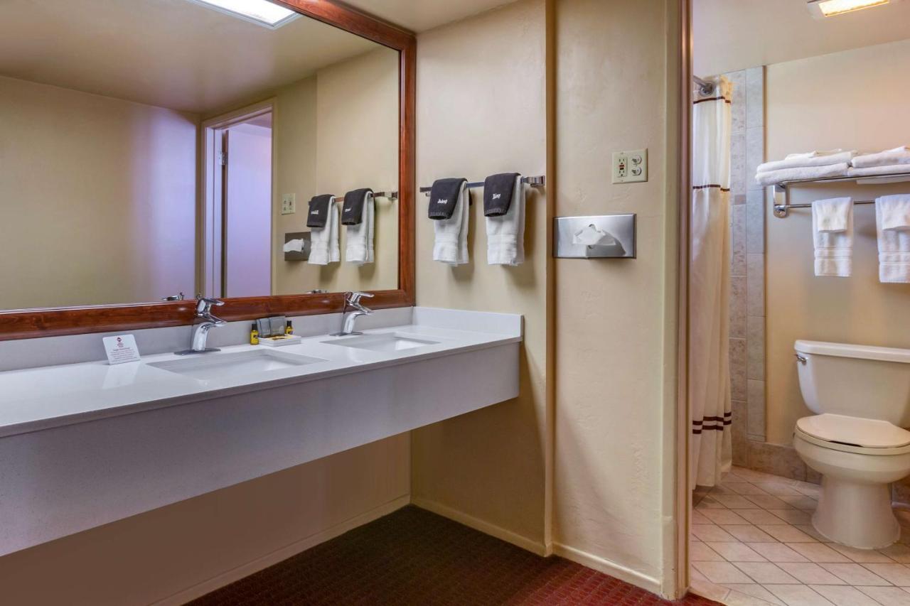 Grande Chambre Lit King-Size avec Canapé-Lit - Non-Fumeurs
