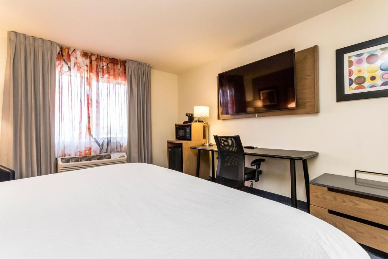 Chambre Lit King-Size - Adaptée aux Personnes Malentendantes