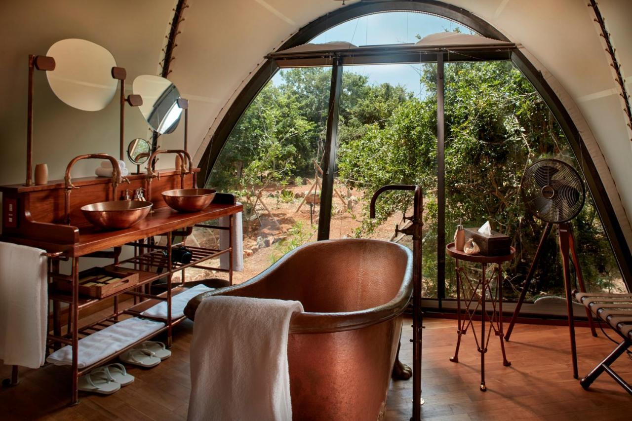 Family Cocoon Pool Suite with One Free Game Drive