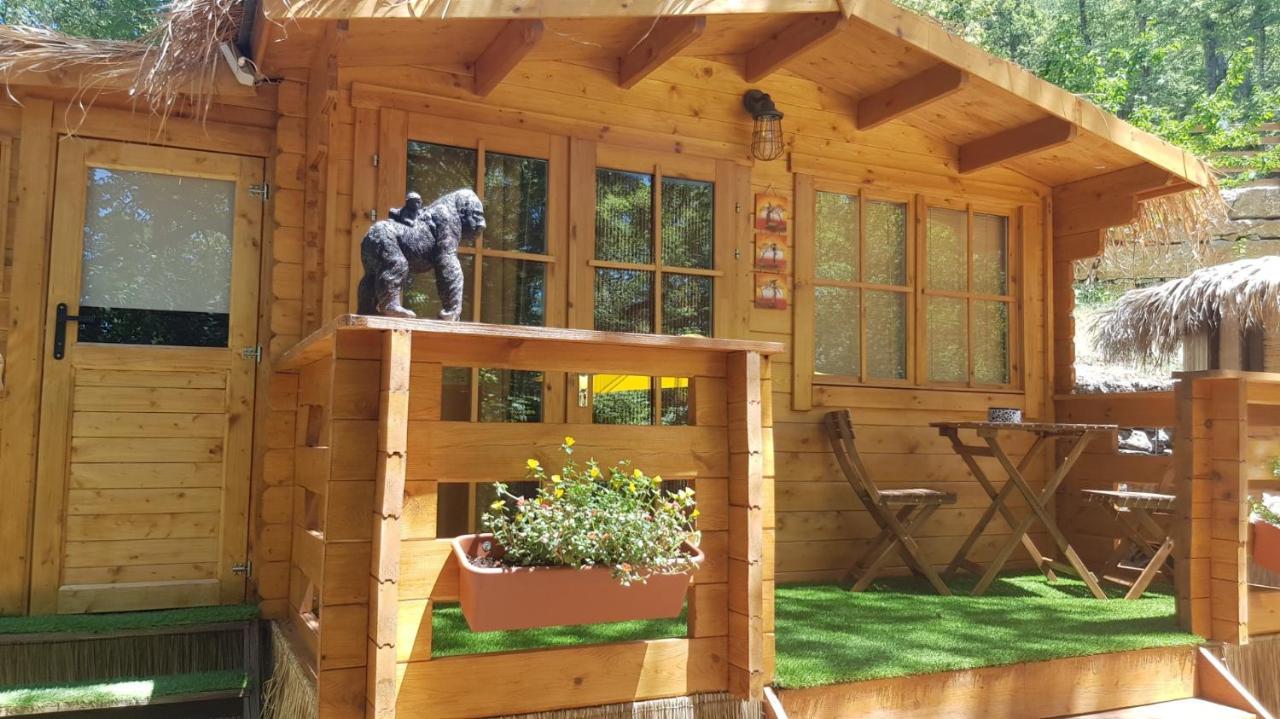 Chambre Double - Vue sur Jardin