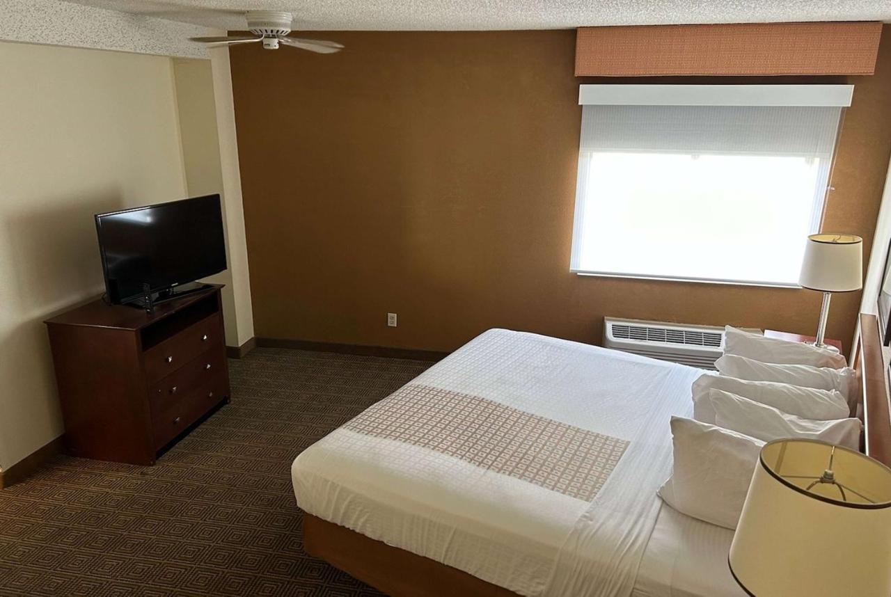 Suíte de 1 Quarto com Cama King-size - Não Fumantes