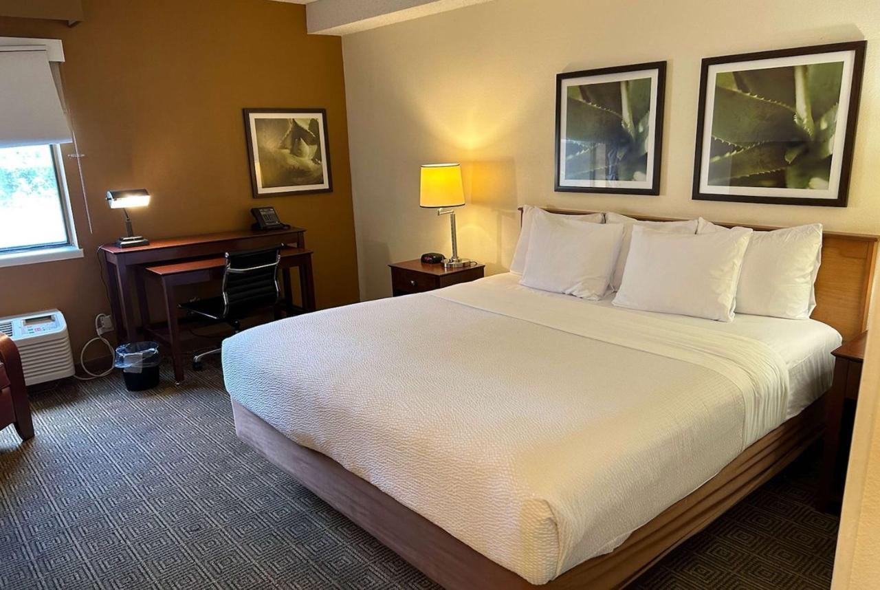 Quarto com Cama King-size - Não Fumantes
