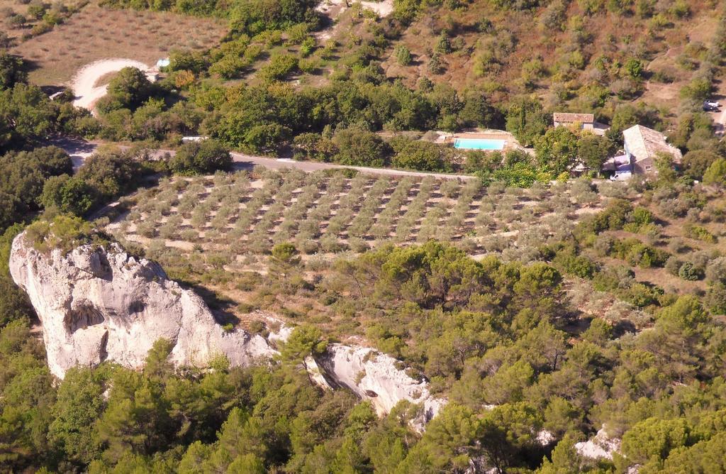 Appartement - Vue sur Jardin (5 Personnes) - Orangeade