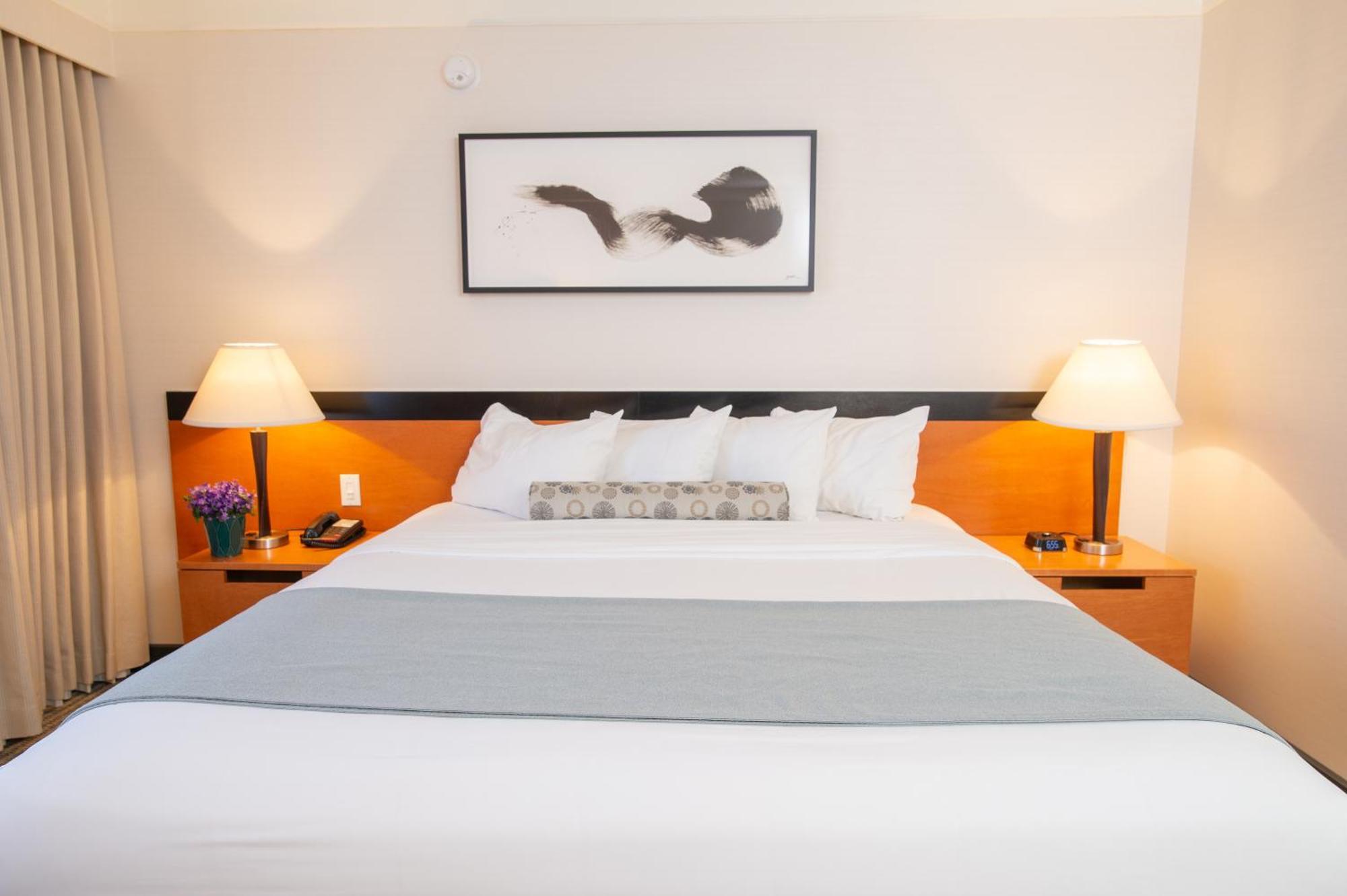 Alojamiento Superior - 1 cama extragrande