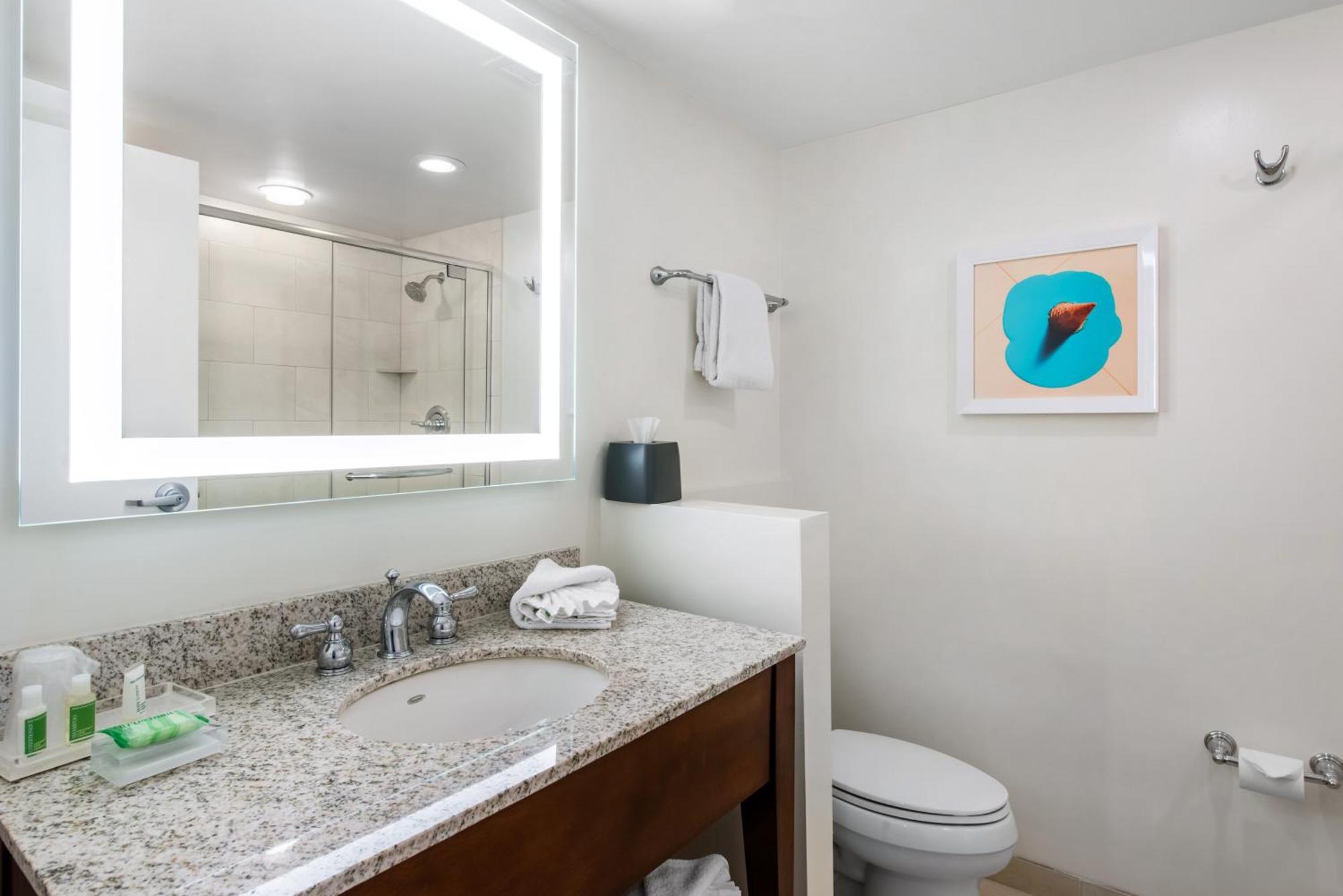 Quarto King Standard com Vista da Piscina