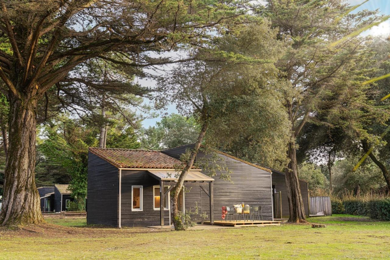 Chalet Premium 3 Chambres