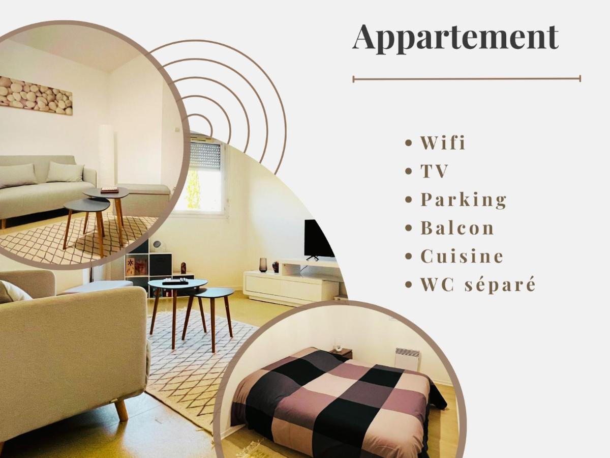 Appartement 1 Chambre