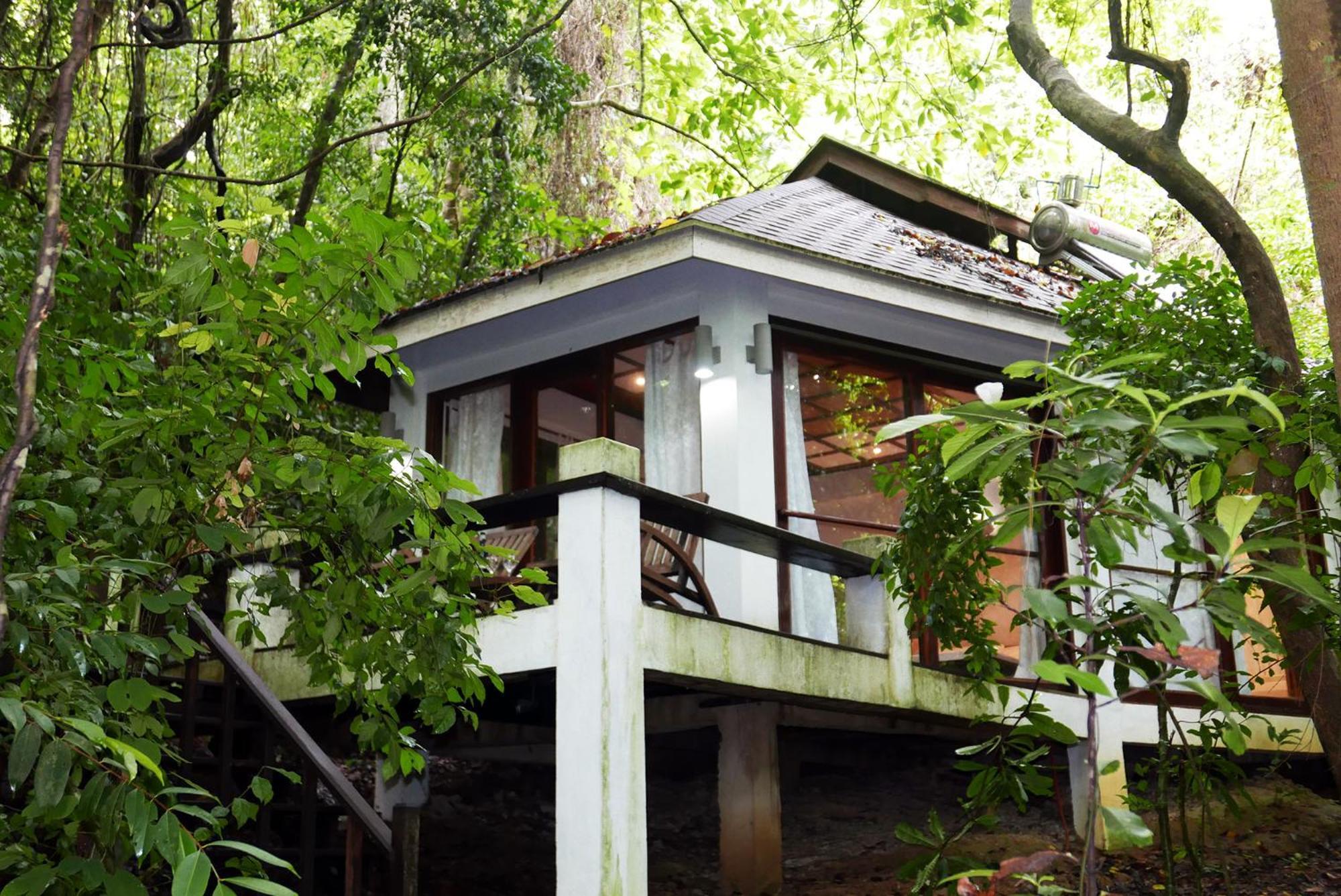 Dschungel Bungalow
