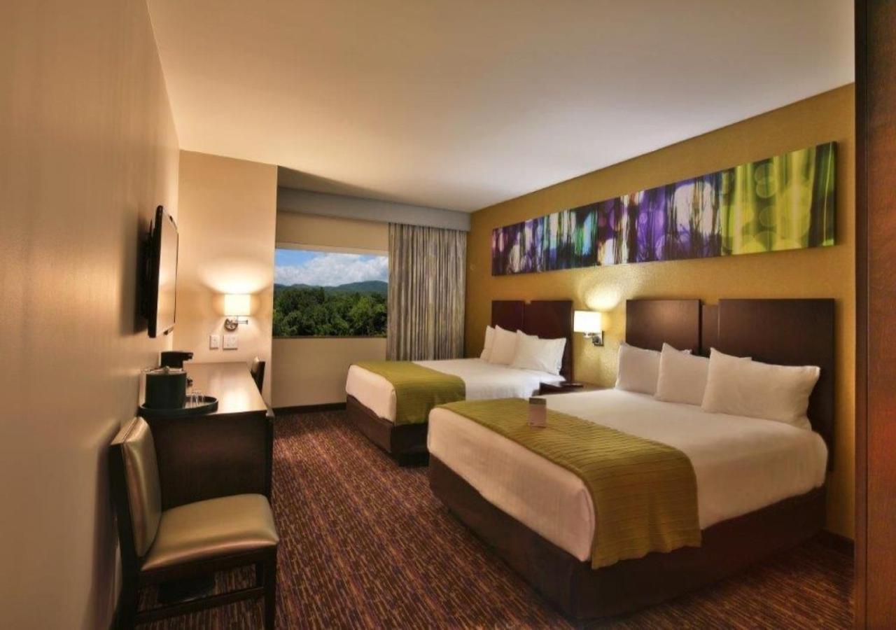 River Tower Luxury 2 Queen Beds,1541723203:JPEG