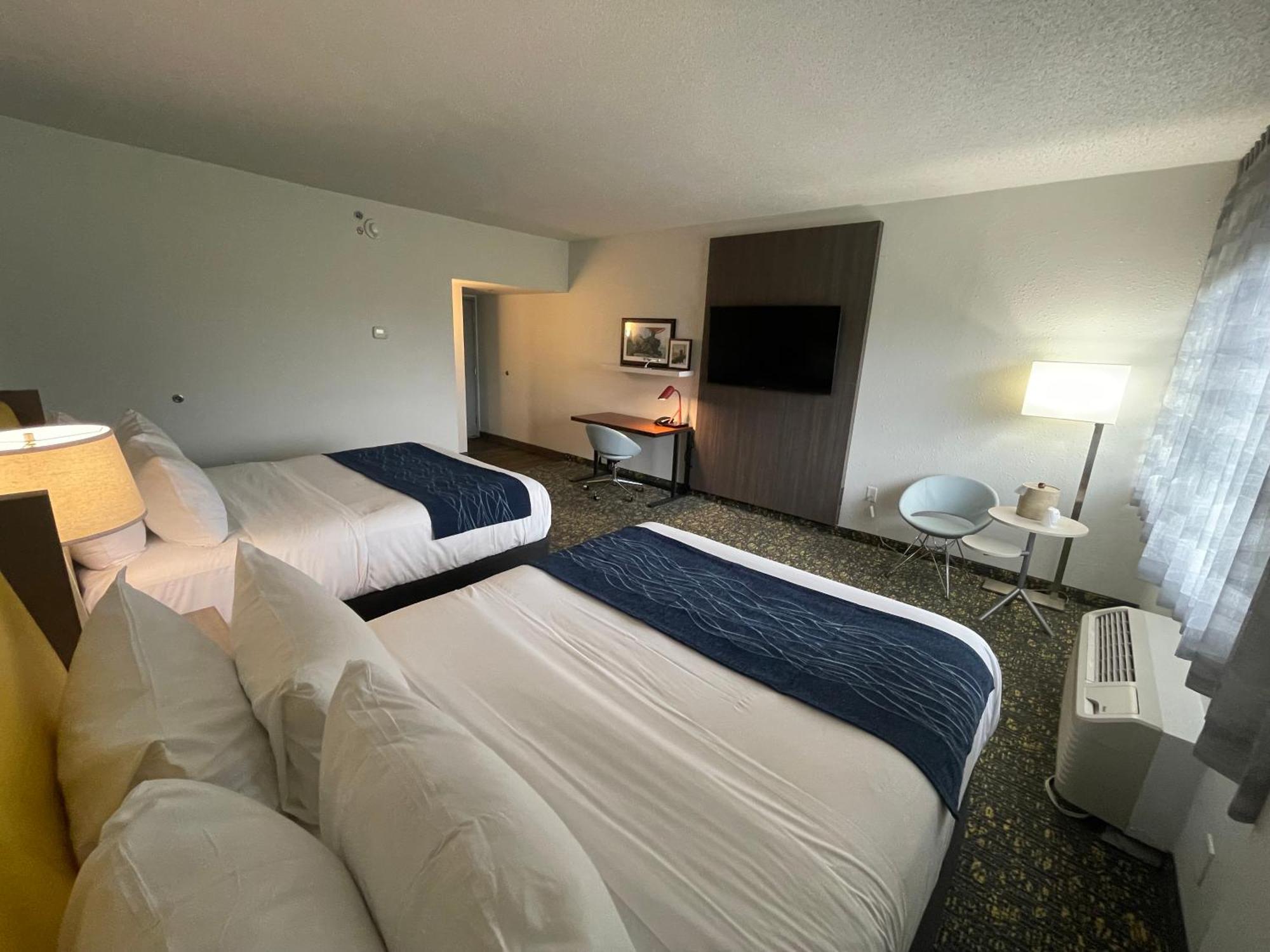 Large Double Room,1543947241:JPEG