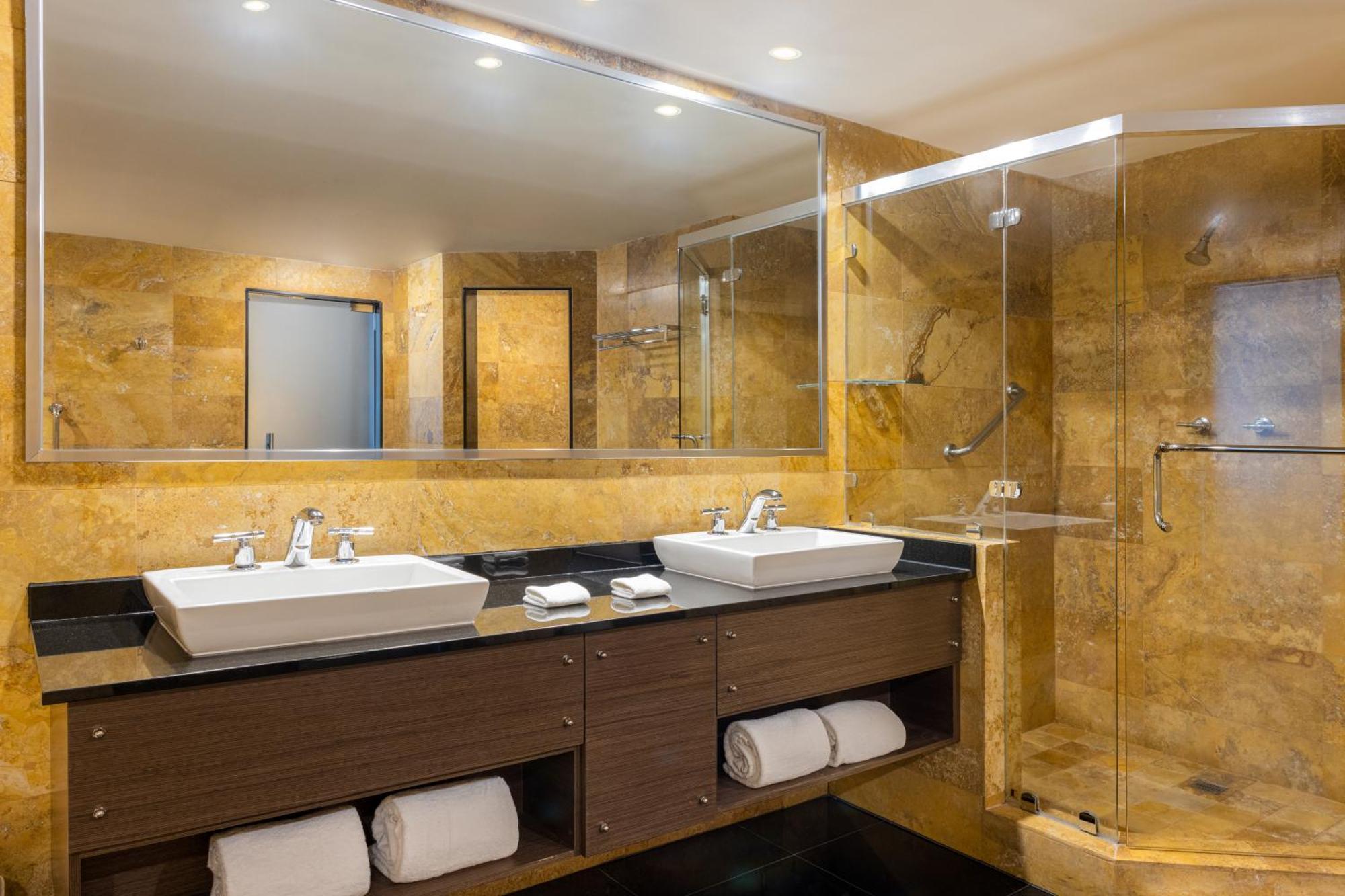 Suíte Platinum de 1 Quarto com 1 Cama King-size e Acesso à Área VIP