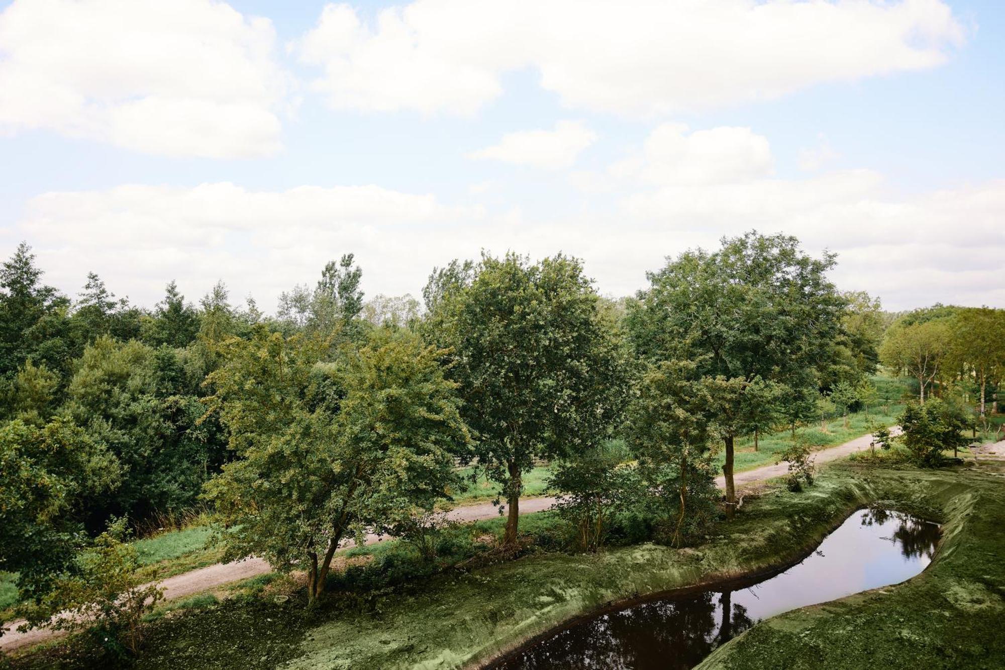 Deluxe Doppelzimmer mit Gartenblick