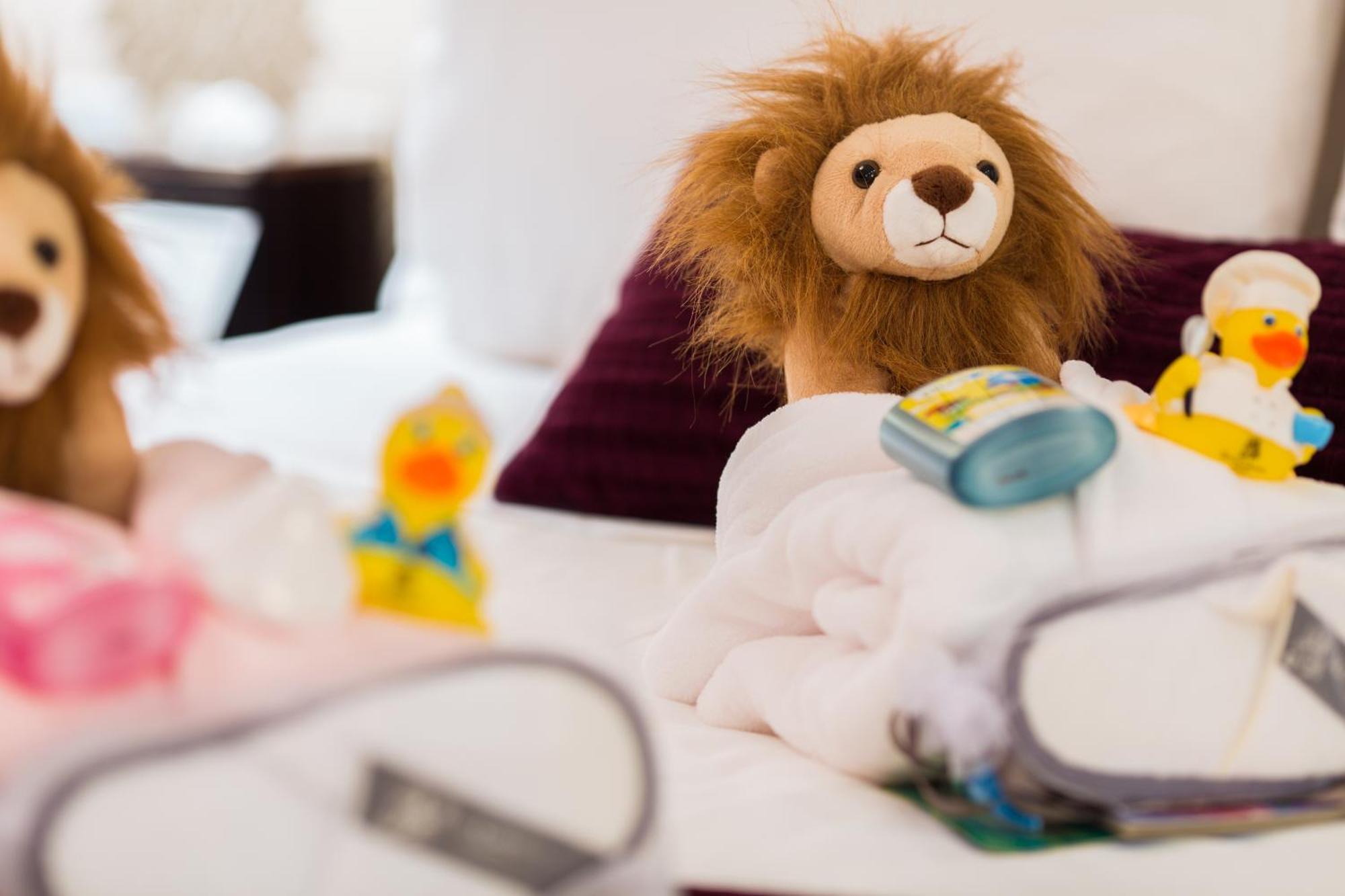 Junior Suite met Open Haard