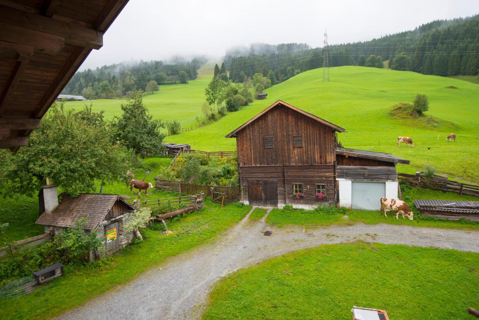 Apartment mit Blick auf die Berge