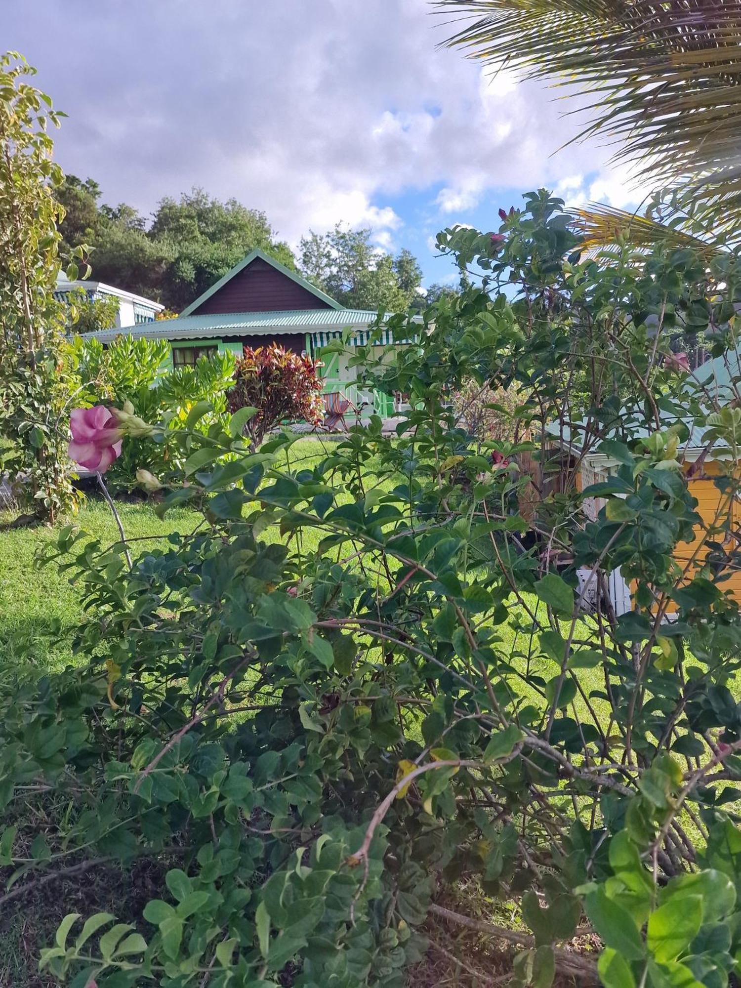 Bungalow