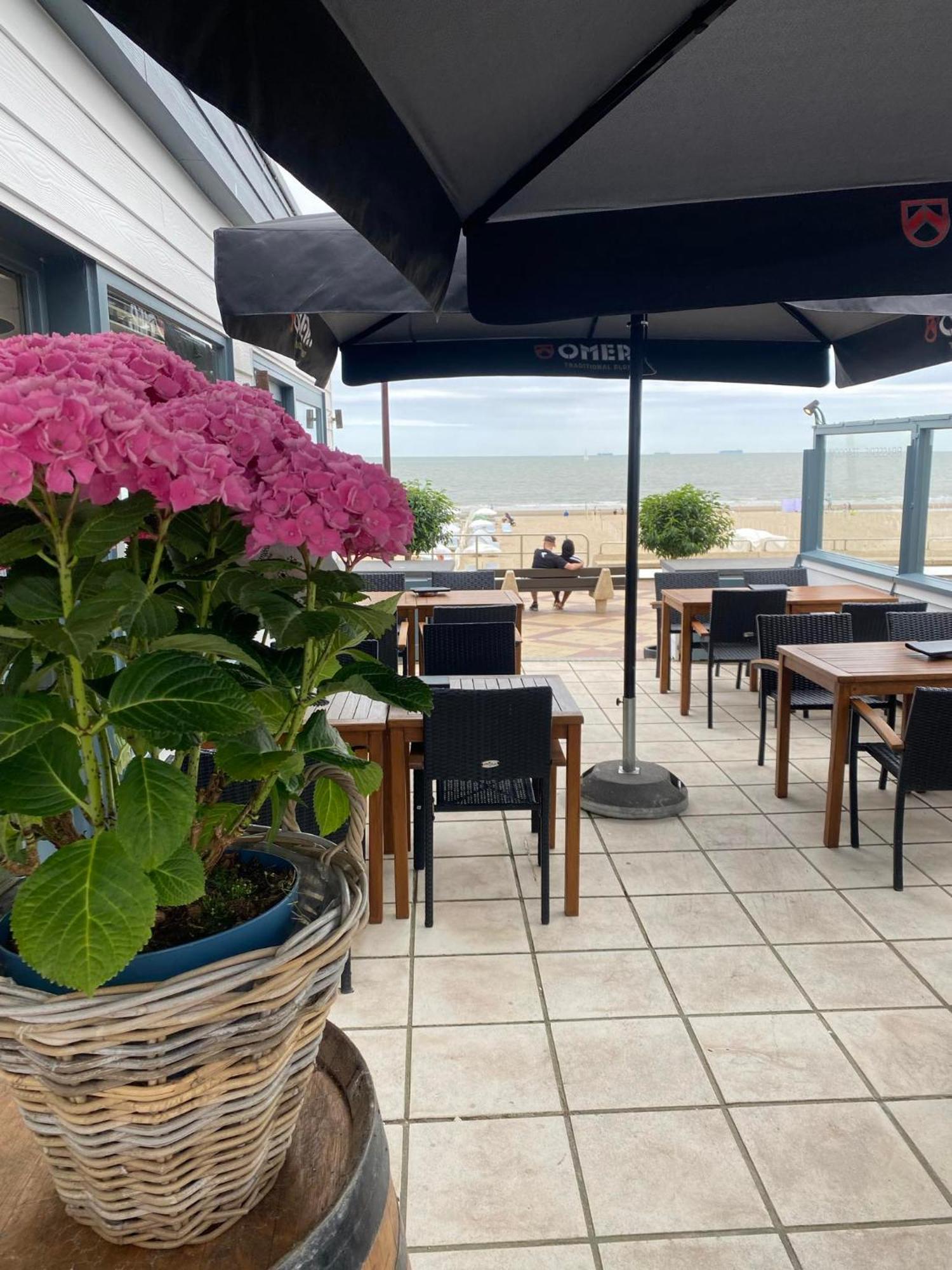 Suite Junior avec Terrasse