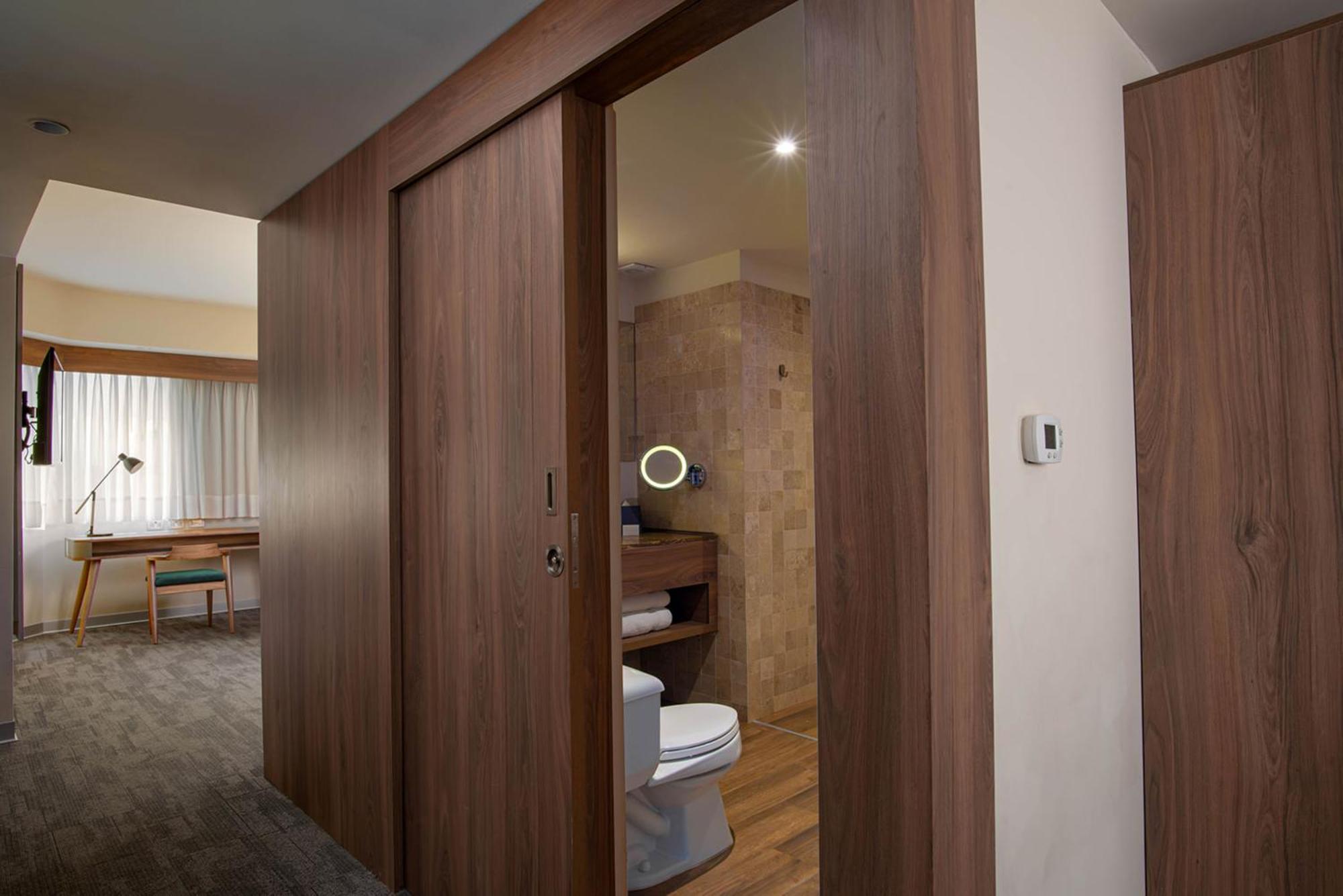 Suíte Júnior com Cama King-size e Vista da Cidade