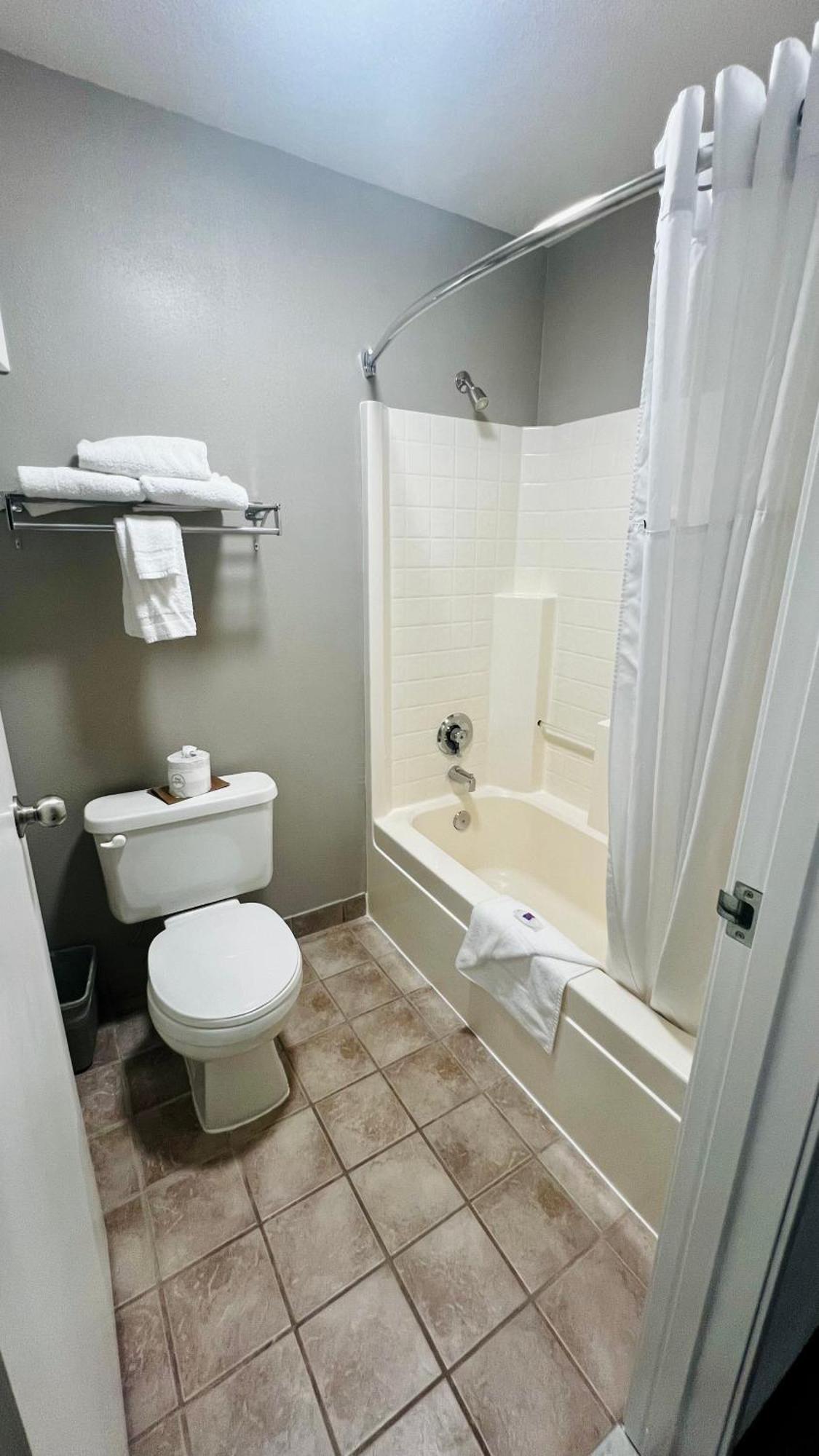 Habitación Deluxe con 2 camas grandes - No fumadores