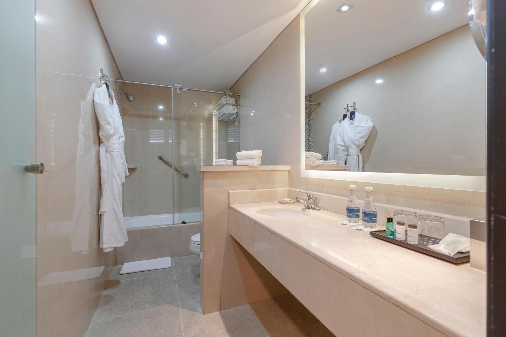 One-Bedroom Large King Suite - Club Access/High Floor