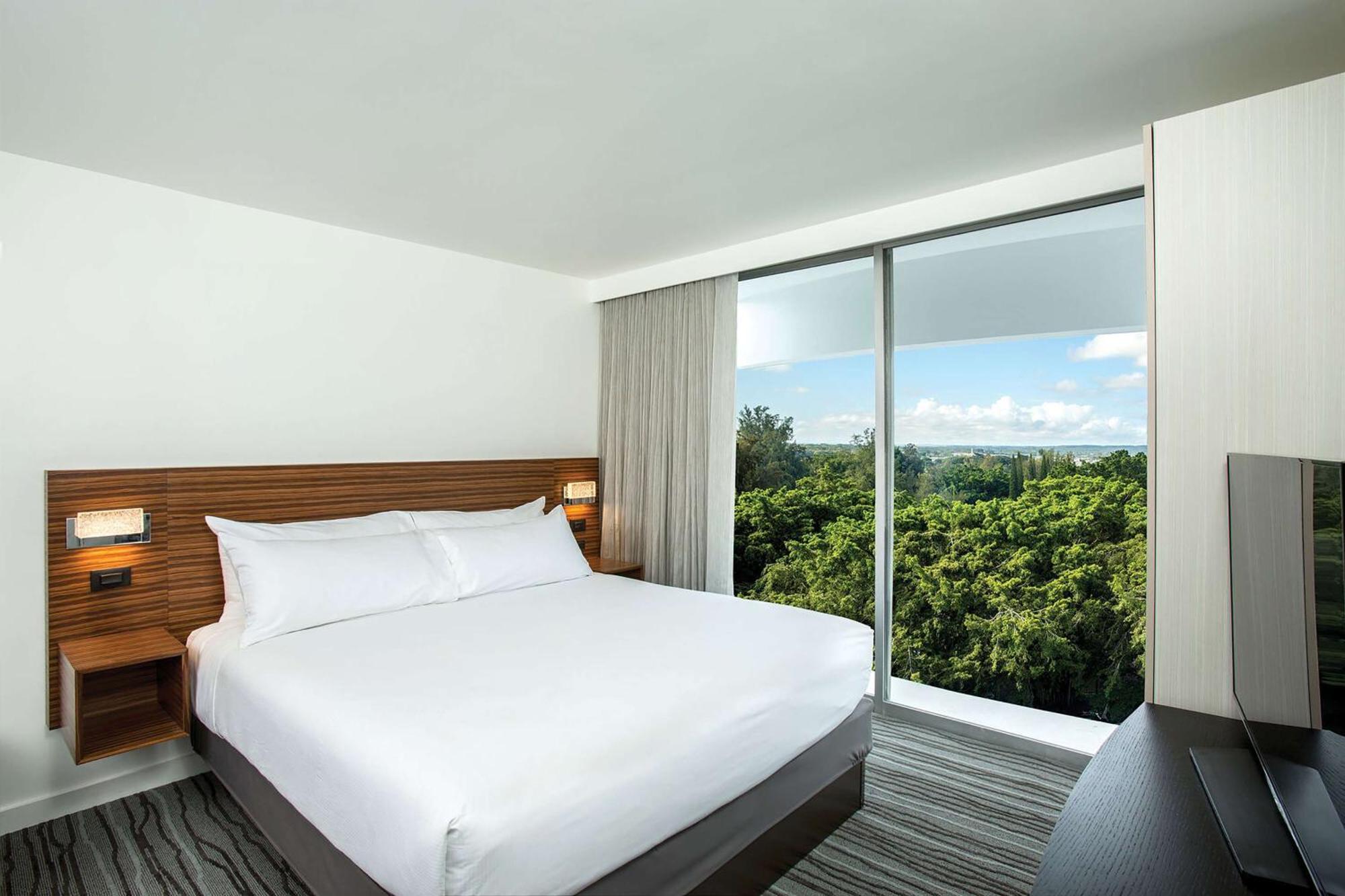 Suite 1 Chambre Lit King-Size