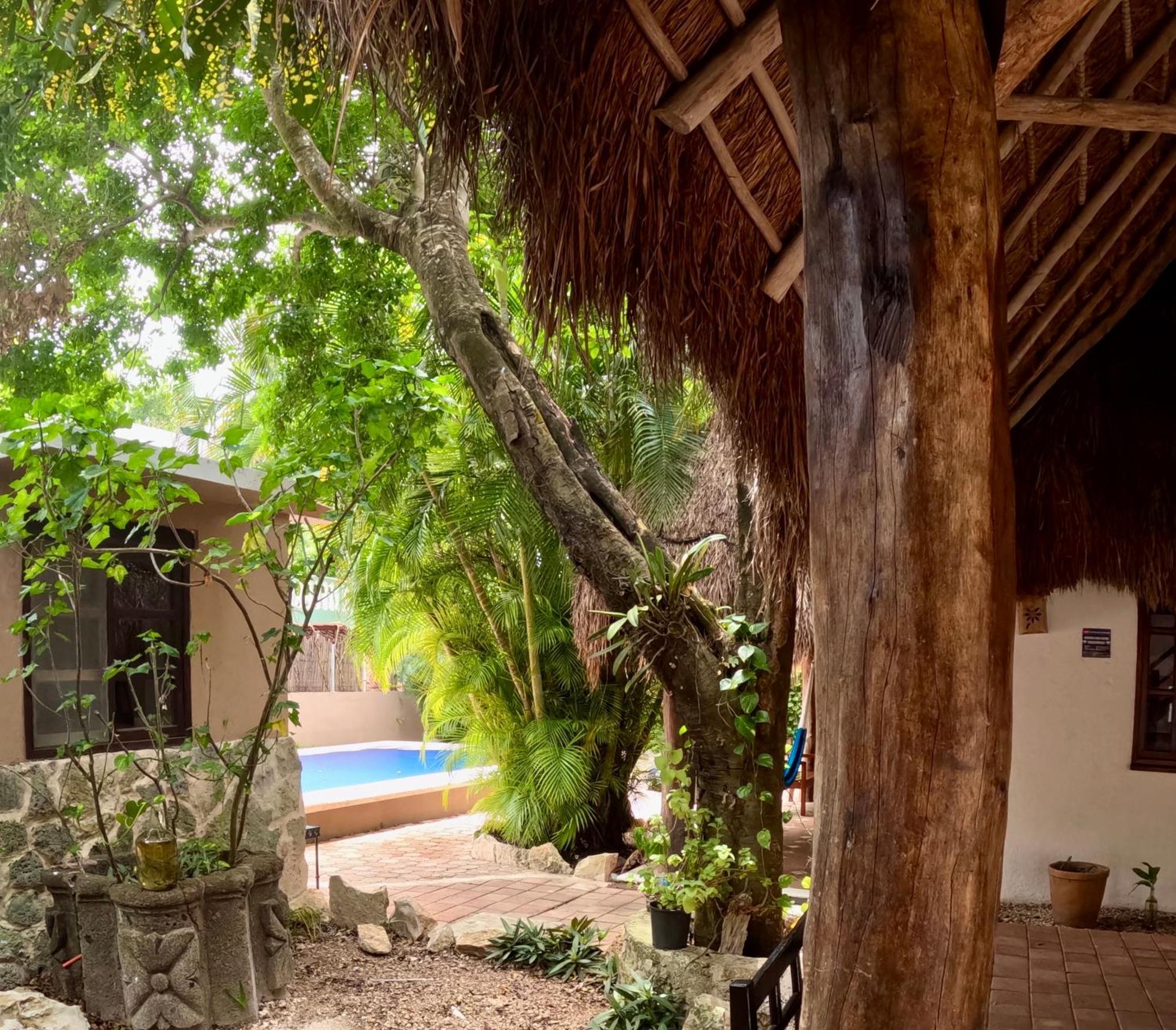 Habitación Doble con vistas al jardín