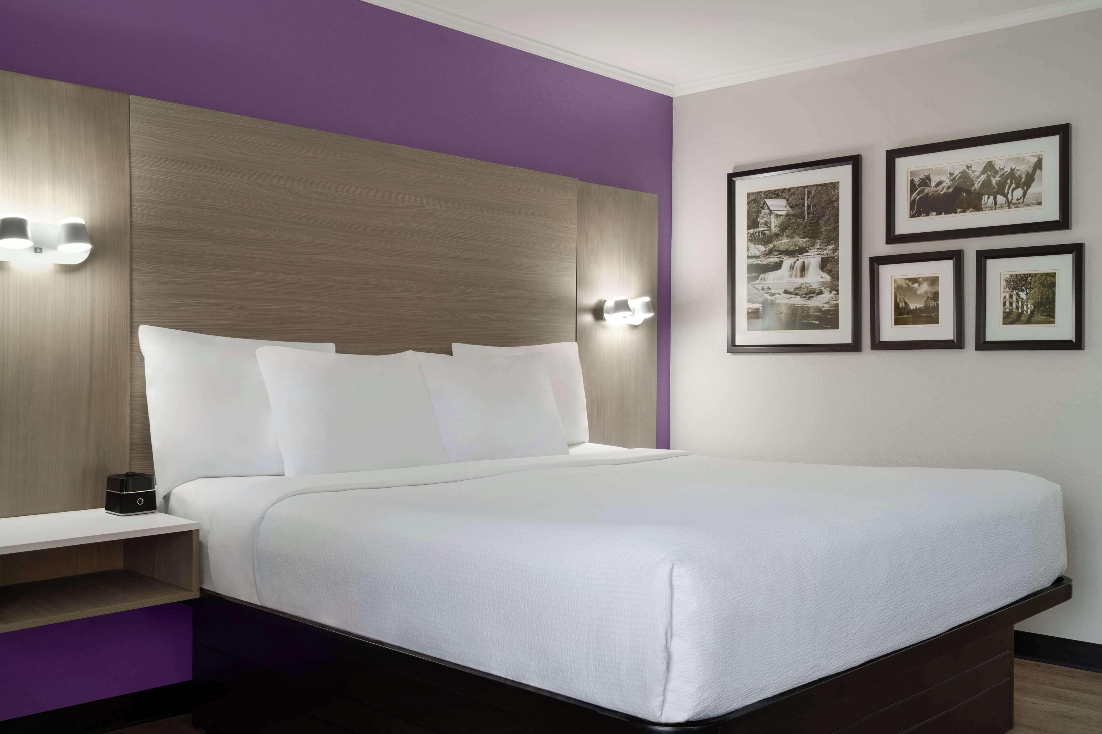 Standard King Room,1707951400:JPEG