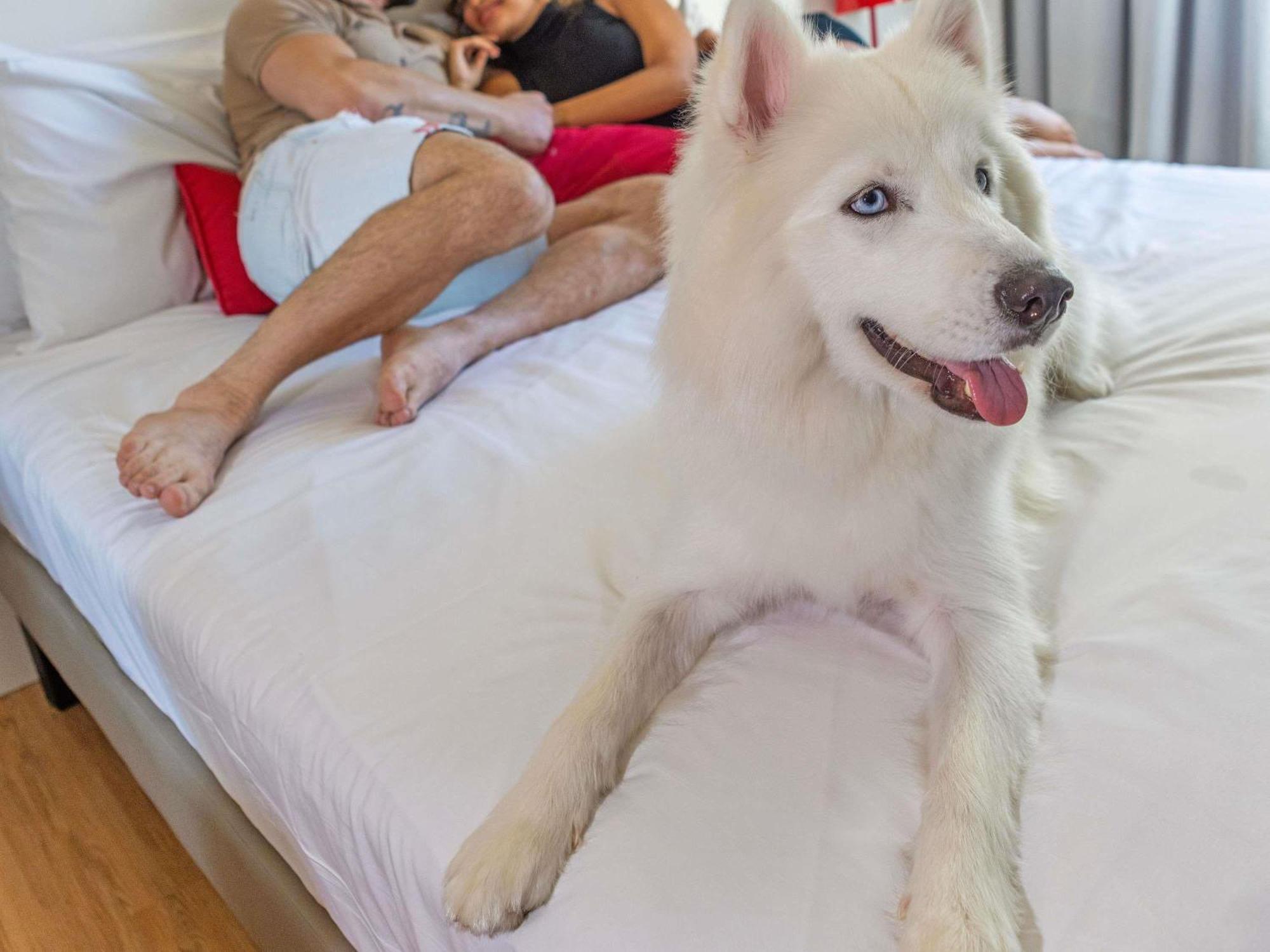 Apartamento com Cama Queen-Size