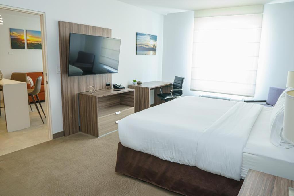 Suite 1 Chambre