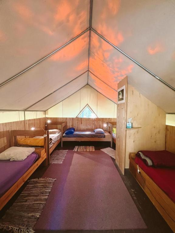 Bed in 5-Bed Male Dormitory Room