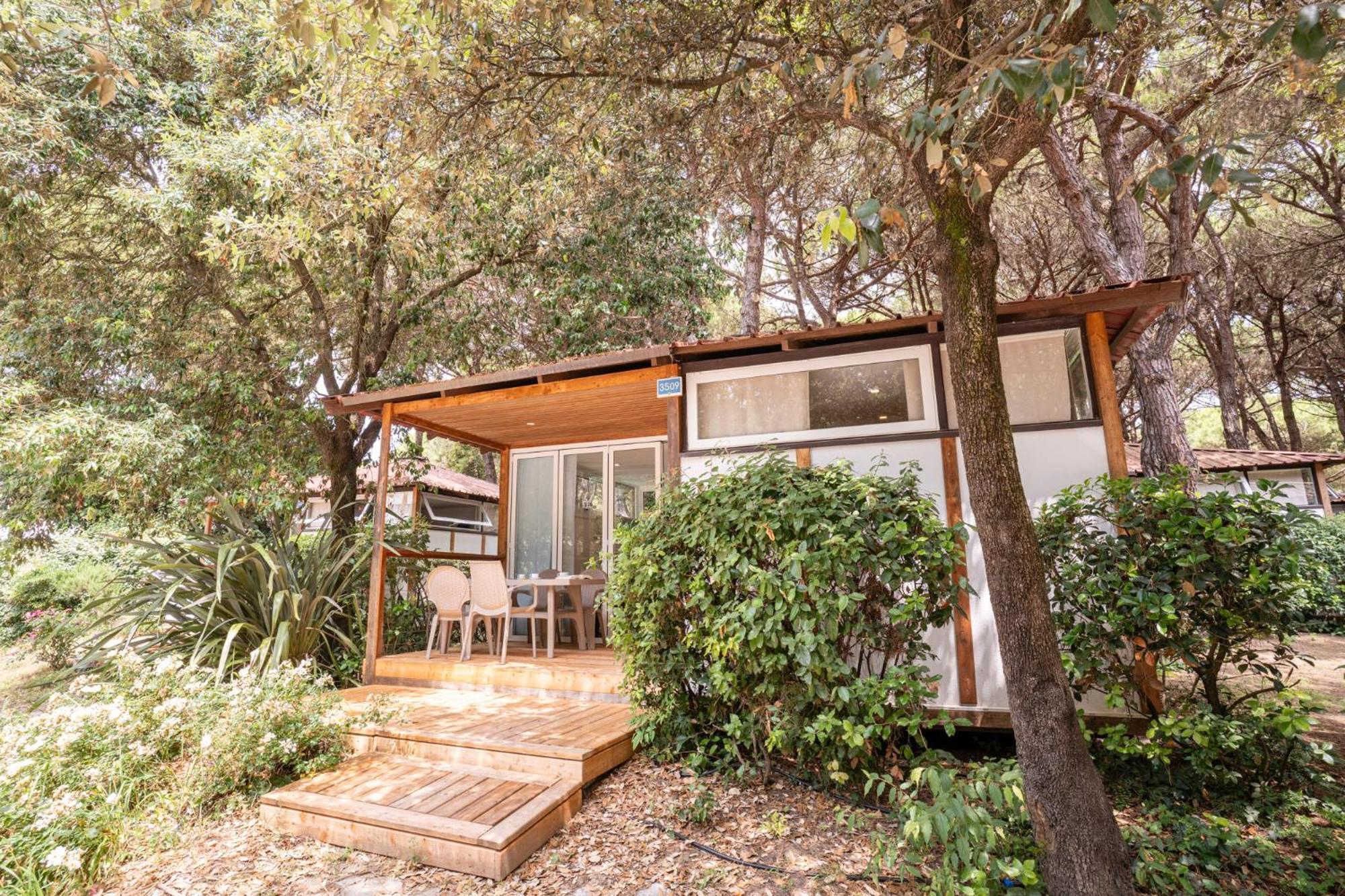 Comfort Chalet
