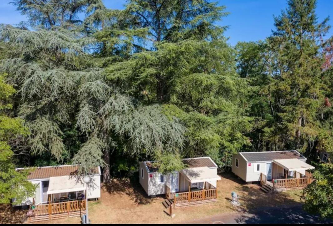 Mobile Home