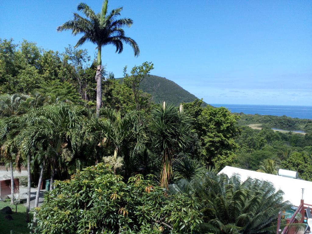 Bungalow - Vue sur Mer