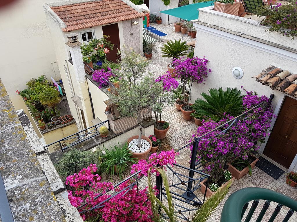 Suite Terrace,238977265:JPEG